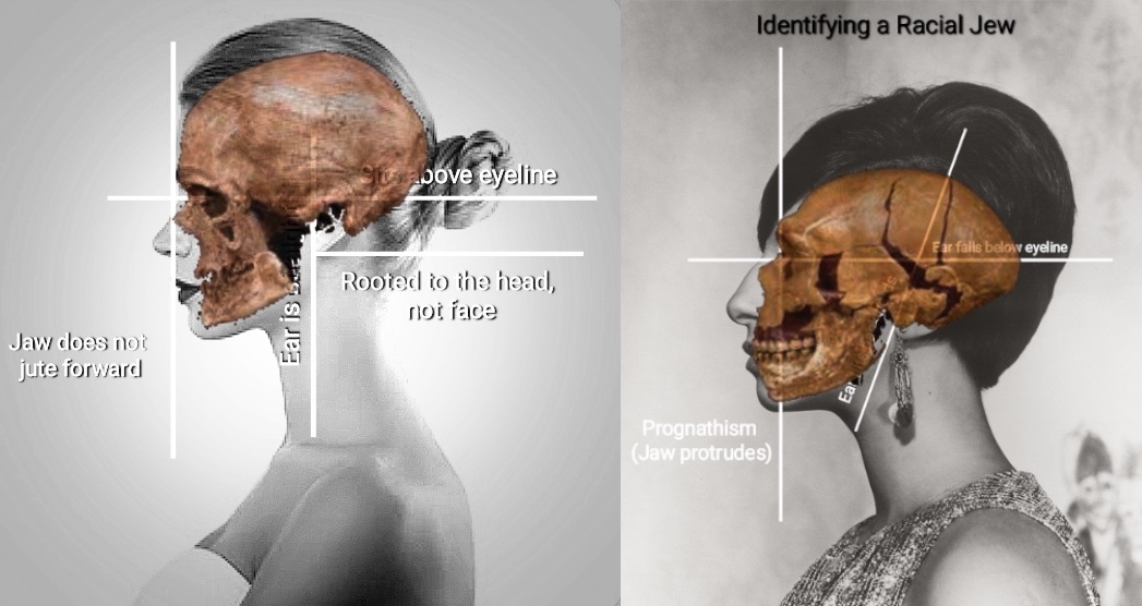 <a href="/magnifreborn/">Magnificus Reborn</a> This why DNA tests in Israel are illegal. To take it a step further they aren't even considered homo sapiens! They dehumanize us as a step in their historical genociding of us when it's THEM who are literally dehuman!!! They're homo capensis and descendants of the nephilim ie the