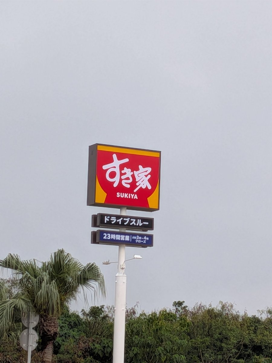 砂肝@石垣島生活4年目 tweet media