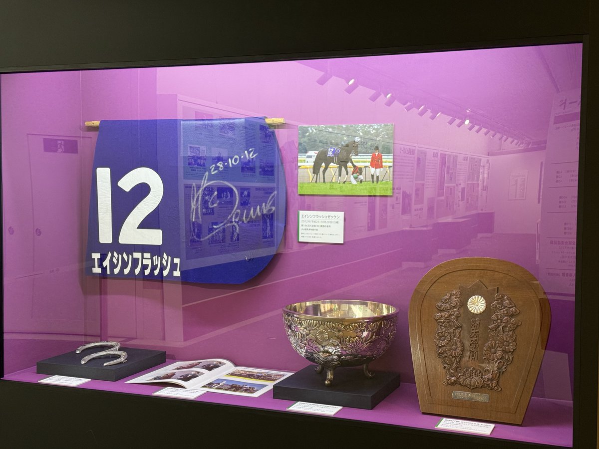 JRARacingMuseum's tweet photo. 5月10日（日）は ＃エイシンフラッシュ が
 ＃東京競馬場 に来場🐴✨
ローズガーデン内の展示馬房に放牧されます。

当館では、天覧競馬となった2012年の天皇賞（秋）
優勝時の実使用ゼッケンを展示中です。

当館は東門すぐそばにあります。
ぜひお立ち寄りください♪ https://t.co/5v7R8muEGP