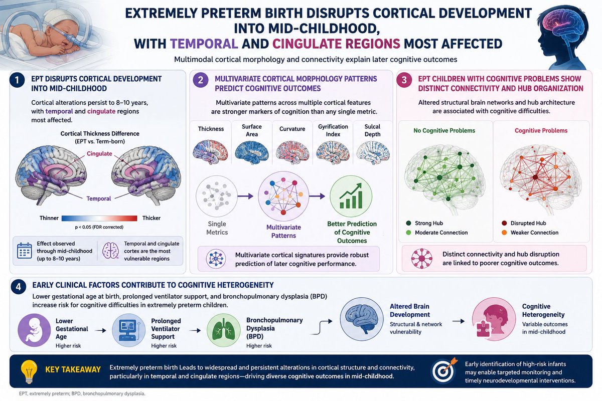 SamsonNivins's tweet photo. 1. Temporal &amp; cingulate cortices are more vulnerable to extremely preterm birth
2. Cognitive heterogeneity related to altered brain network organization 
3. Lower gestational age, prolonged ventilation &amp; BPD contribute to later cognitive heterogeneity

https://t.co/jXBgpUD9sX https://t.co/vvzxsbCY6D