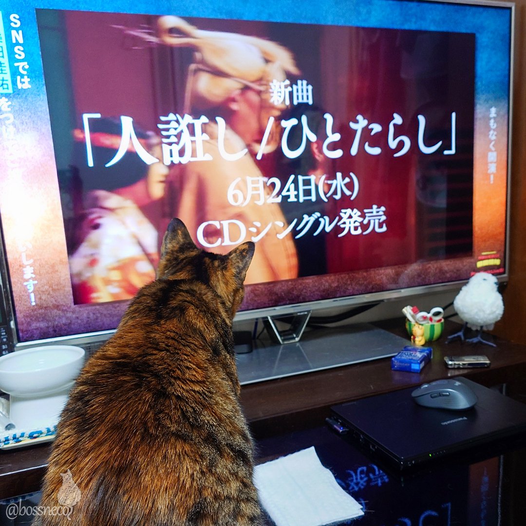 bossneco's tweet photo. お嬢様Linも待機中！

 #桑田佳祐 https://t.co/c8JbRiwlhB
