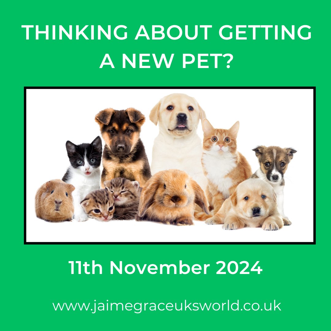 JaimeGraceUK's tweet photo. Thinking about getting a new pet or adding a new addition to your family?

Have a read of this blog published 11th November 2024.

Link in bio

#pet #petcare #petlover #petfriendly #pets #petscorner #blogger #bloggerlife #bloggergirl #bloggerstyle https://t.co/60g9Uj47Cp