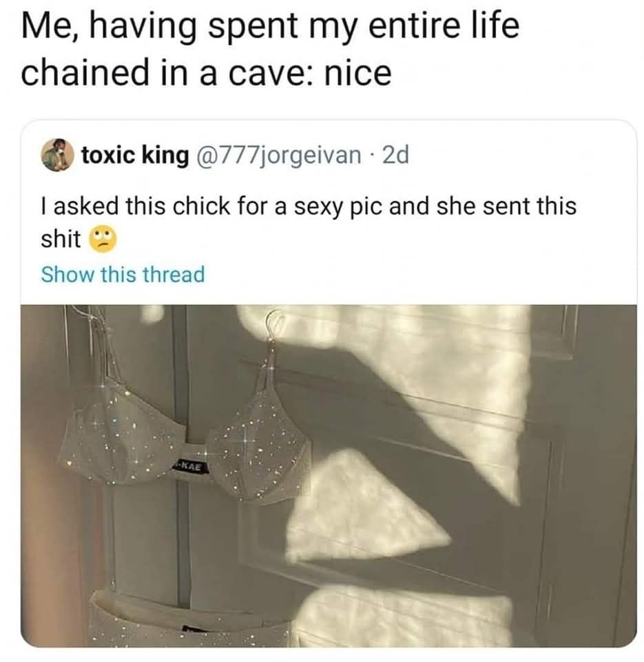 Classical Studies Memes tweet media