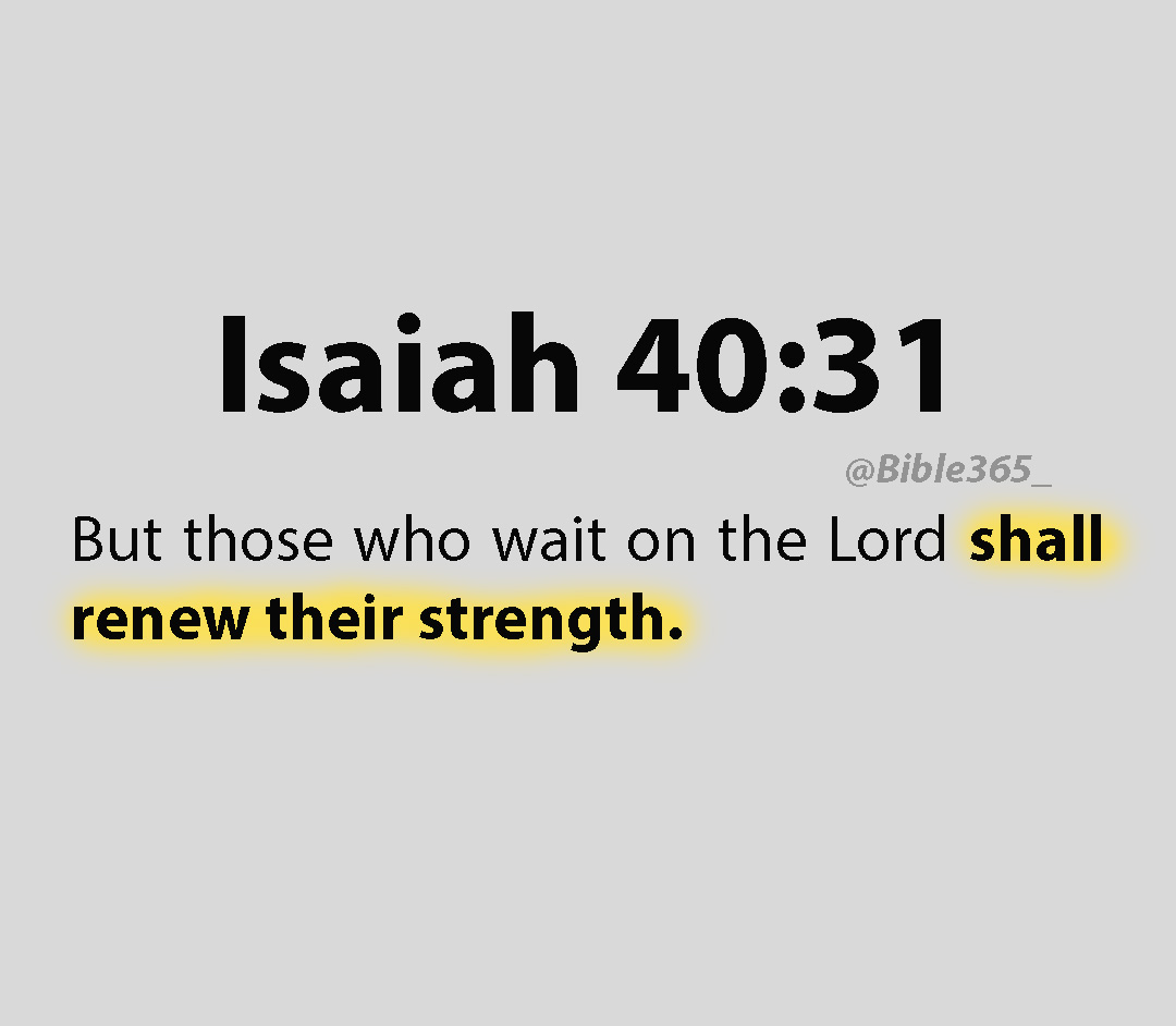 Bible 365 tweet media