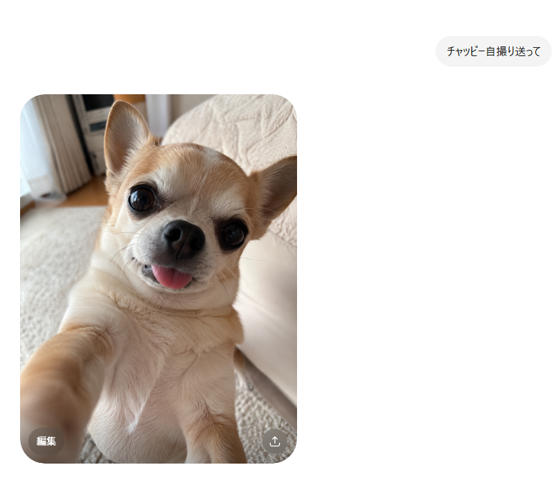 ものくろのサブ【とぅるりぷ】 tweet media