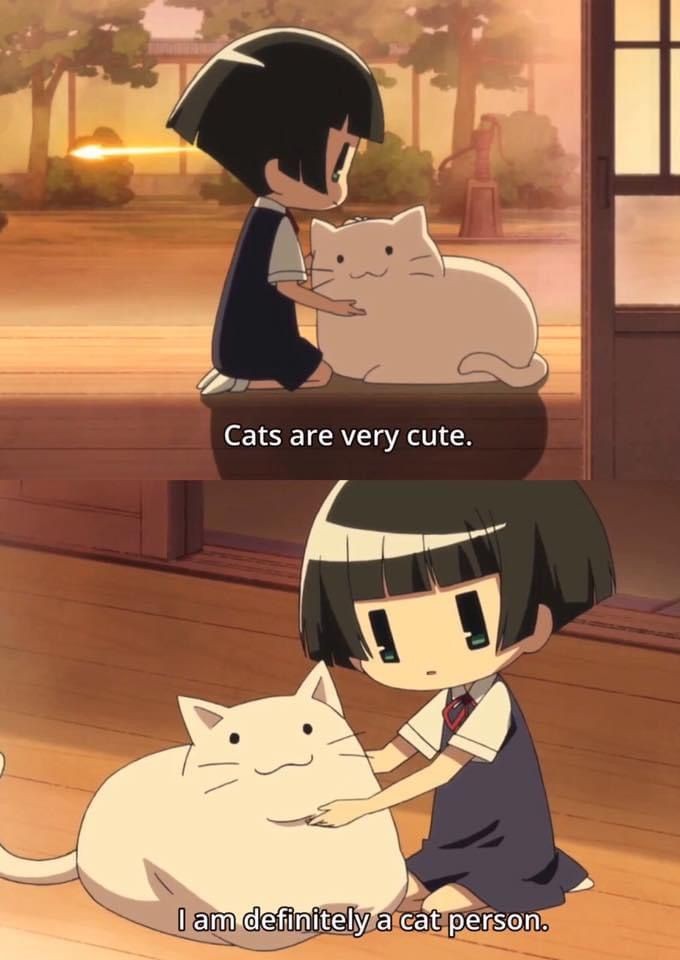 No Context Cats tweet media