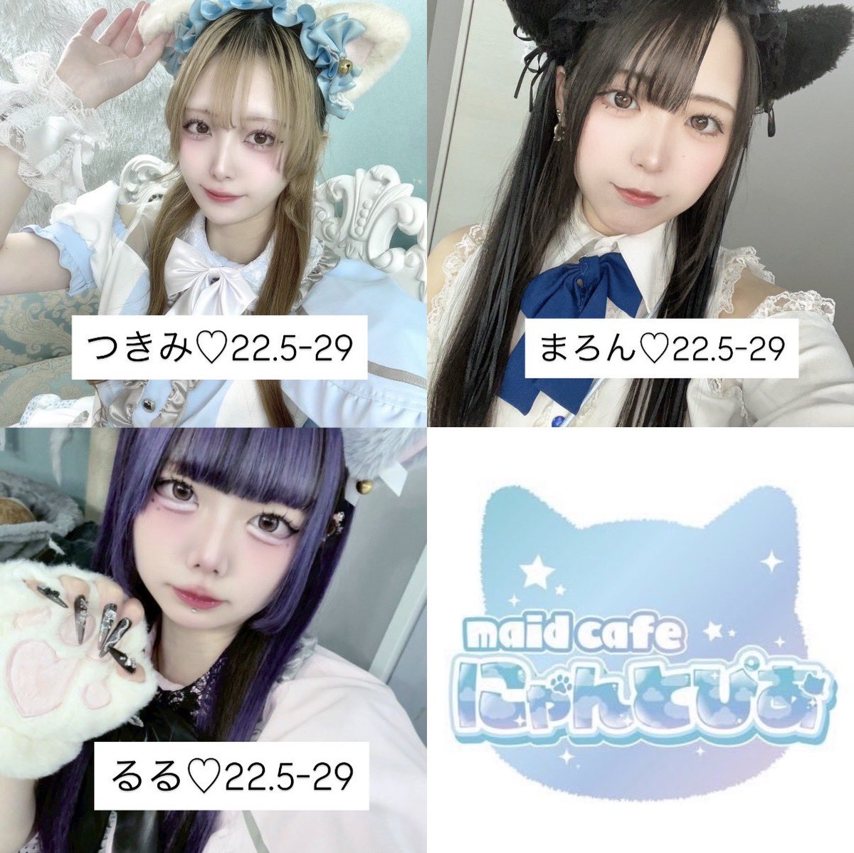 ねことらさん専用　⭐︎お値下げしました⭐︎KAWAI わんだぁルーム￼ にゃんとぴあOpen🐈🎶 5月9日(土) 18:00～29:00 ねこぴナイト🌙 18-22