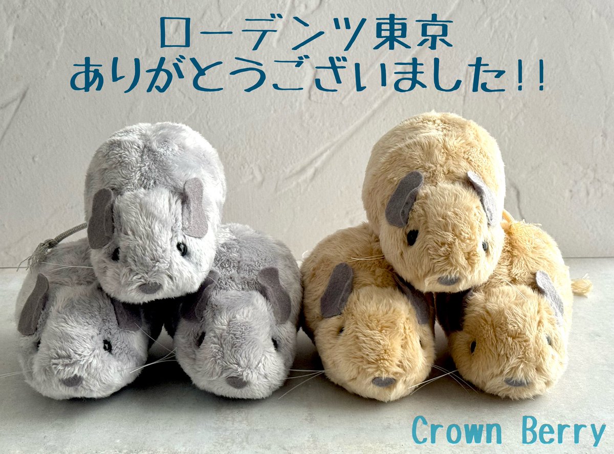 Yui【鉱物標本アクセサリー作家】 tweet media