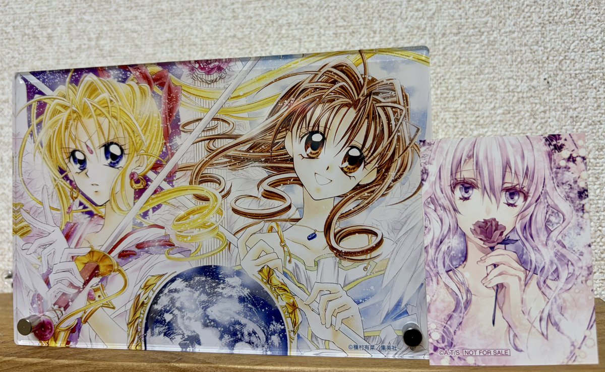 種村有菜30周年 #種村有菜30周年記念展東京 先日やっと行くことができ 