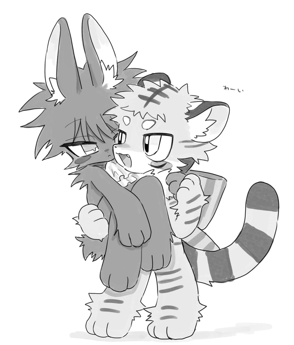 Miyu ハシビロコウ馬•龍被り物、猫虎被り物、獅子舞、柚子さぶとん 虎伏🐯🎀🐰💎