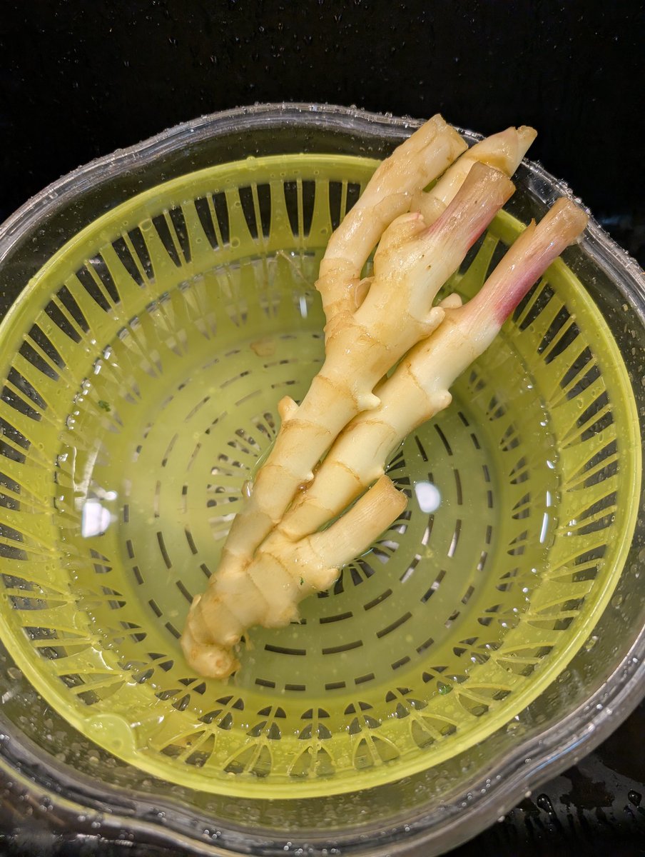 BlueHeartsUWS's tweet photo. 梅酢でガリ作り
香港自炊生活
Pickled plum vinegar liquid pickled ginger 😆
#CallingAllHomeCooks https://t.co/UTvR7pJnLd