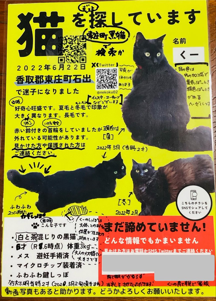 黒猫くー捜索 千葉県東庄町 (鍵尾長毛メス。香取郡・香取市・旭市・銚子市・神栖市近隣の保護情報求む） tweet media