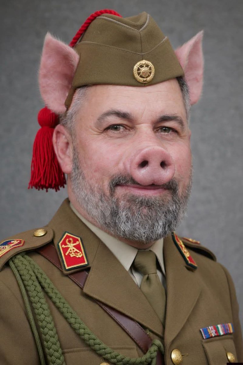 PAREJITA DE CERDOS IBERICOS 🐷🐷🐽🐽🐽