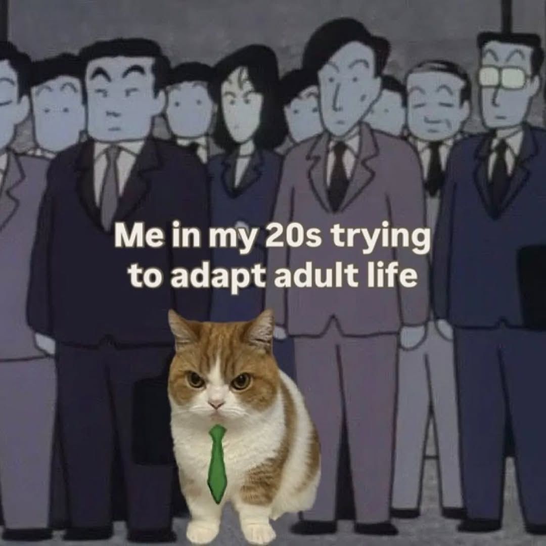 No Context Cats tweet media