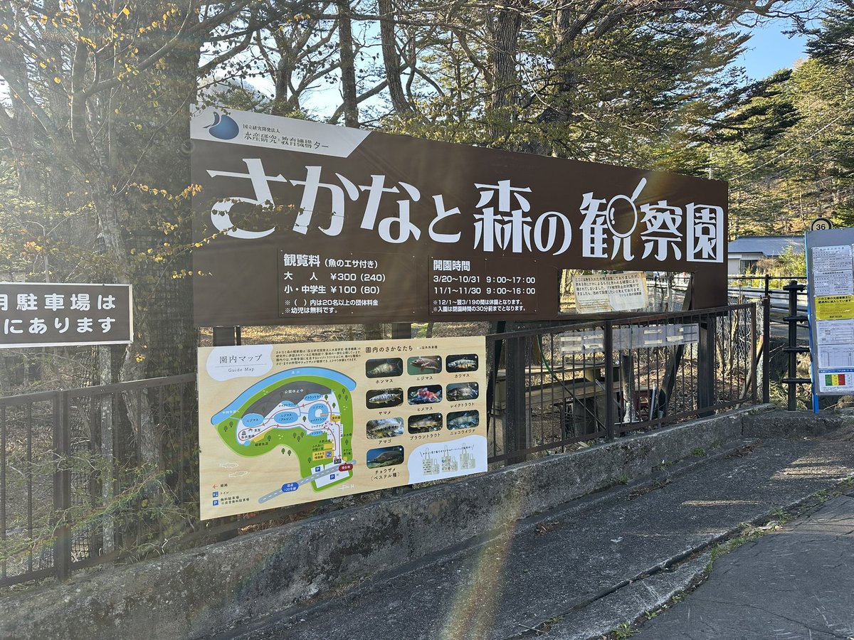 ぼちお tweet media