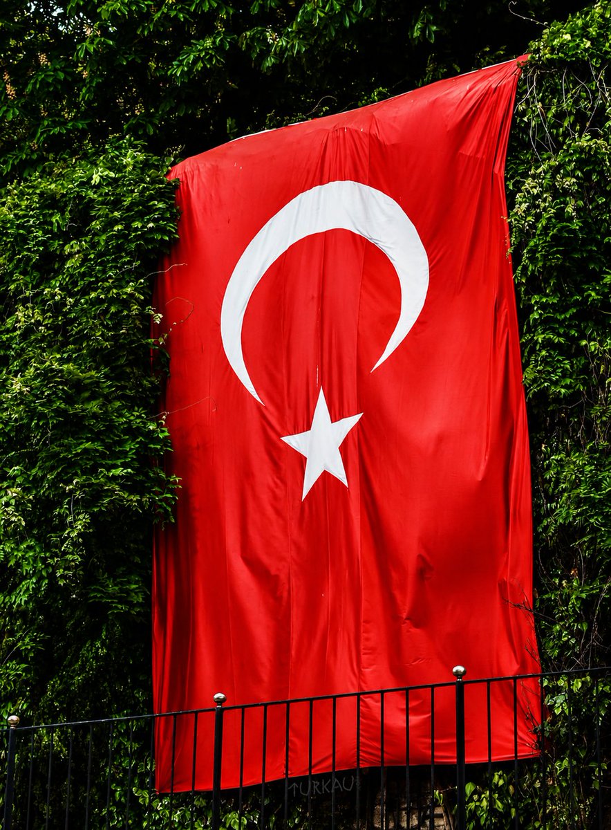 Türk tweet media