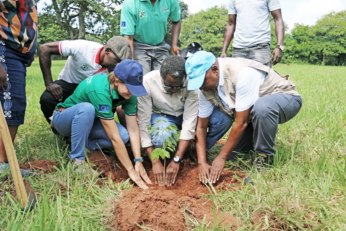 FAO in Uganda tweet media