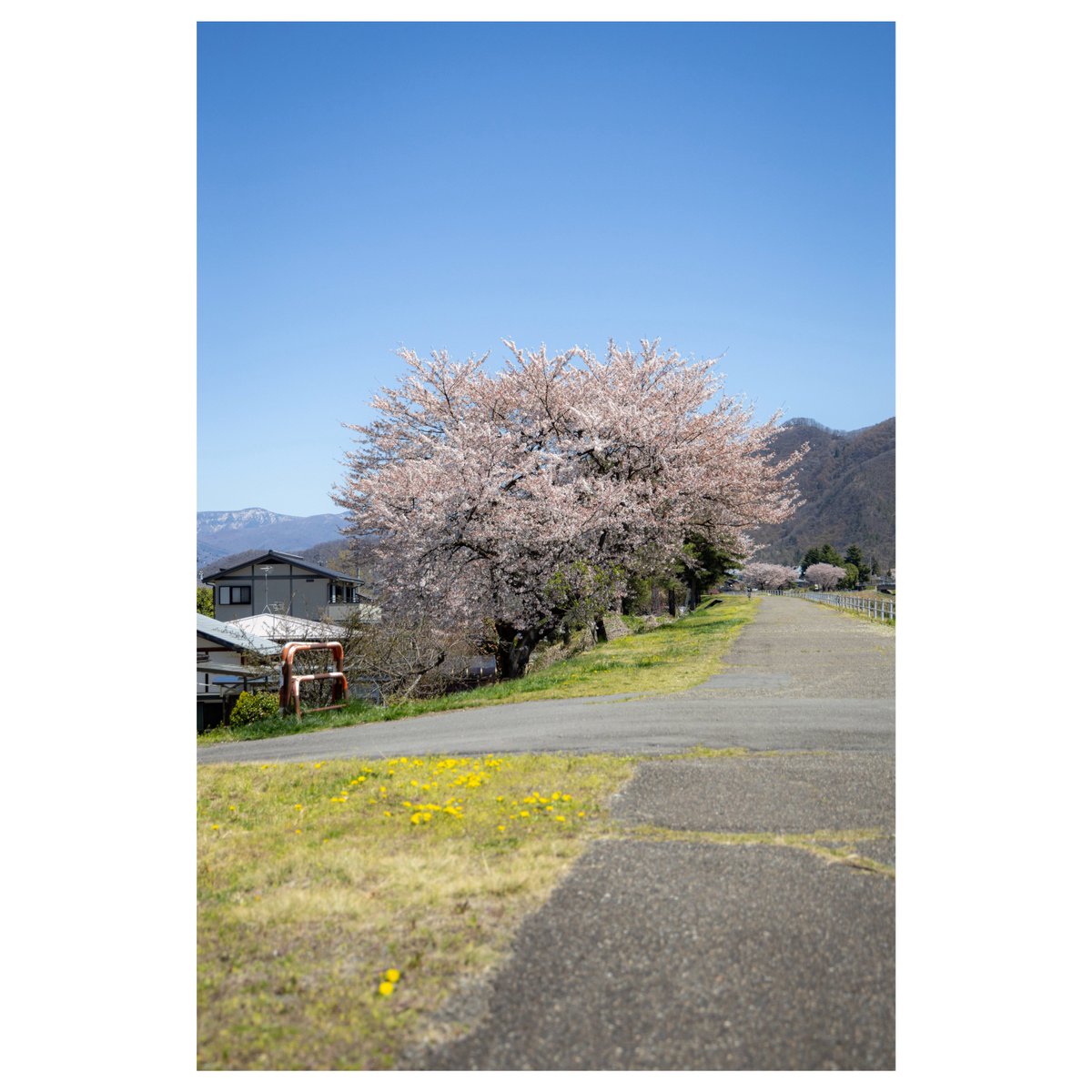 汽澄 tweet media