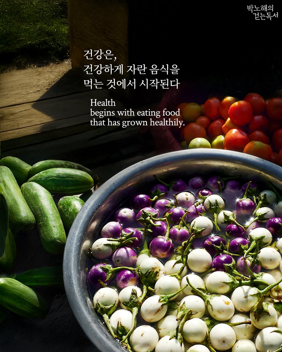 박노해의 걷는 독서 tweet media