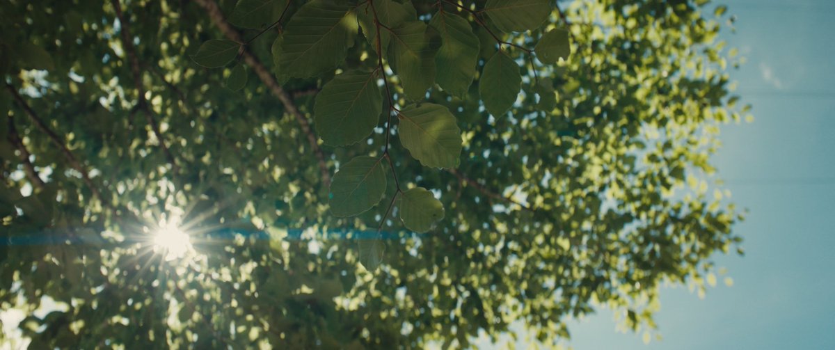 weltkai's tweet photo. shot some first frames with my new anamorphic lens 👀🌀✨ https://t.co/rHyP4RoMF0