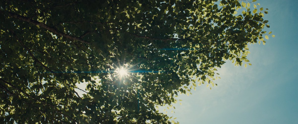 weltkai's tweet photo. shot some first frames with my new anamorphic lens 👀🌀✨ https://t.co/rHyP4RoMF0