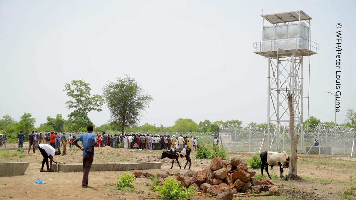 FAOSouthSudan's tweet photo. Today, we join @EUinSouthSudan in celebrating #EuropeDay 🇪🇺🤝🇺🇳

Together, FAO &amp; the EU are strengthening #Resilience in #SouthSudan through farmer &amp; animal health training 🐄, improved water access 🚰, &amp; support to grassroots governance 👥 for more food-secure communities 🌾 https://t.co/McUAGroPk4