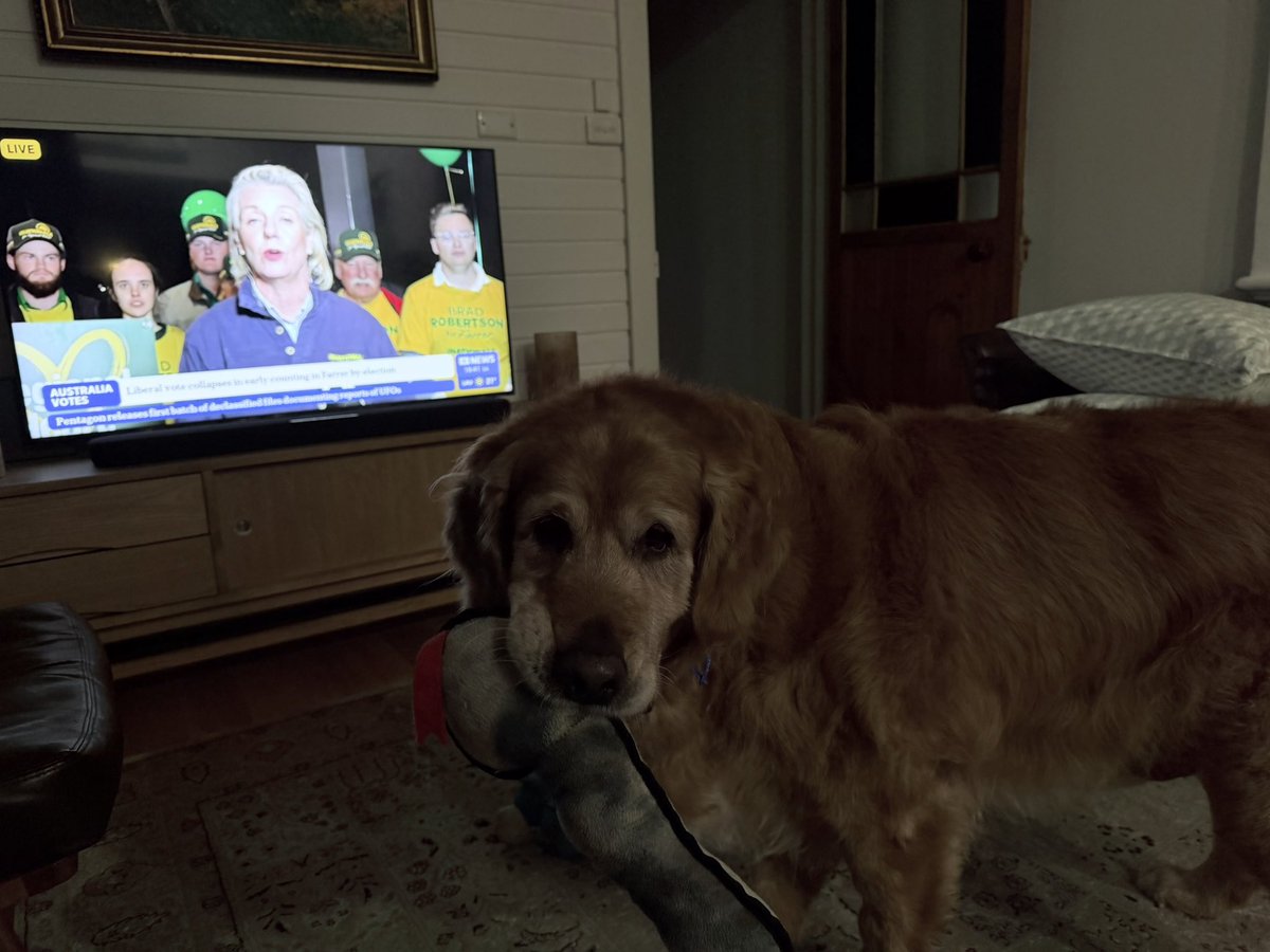 MissBaileyWoof's tweet photo. Can someone put me out of Bridget McKenzie’s misery please? #farrar https://t.co/jnp4nKiF8G