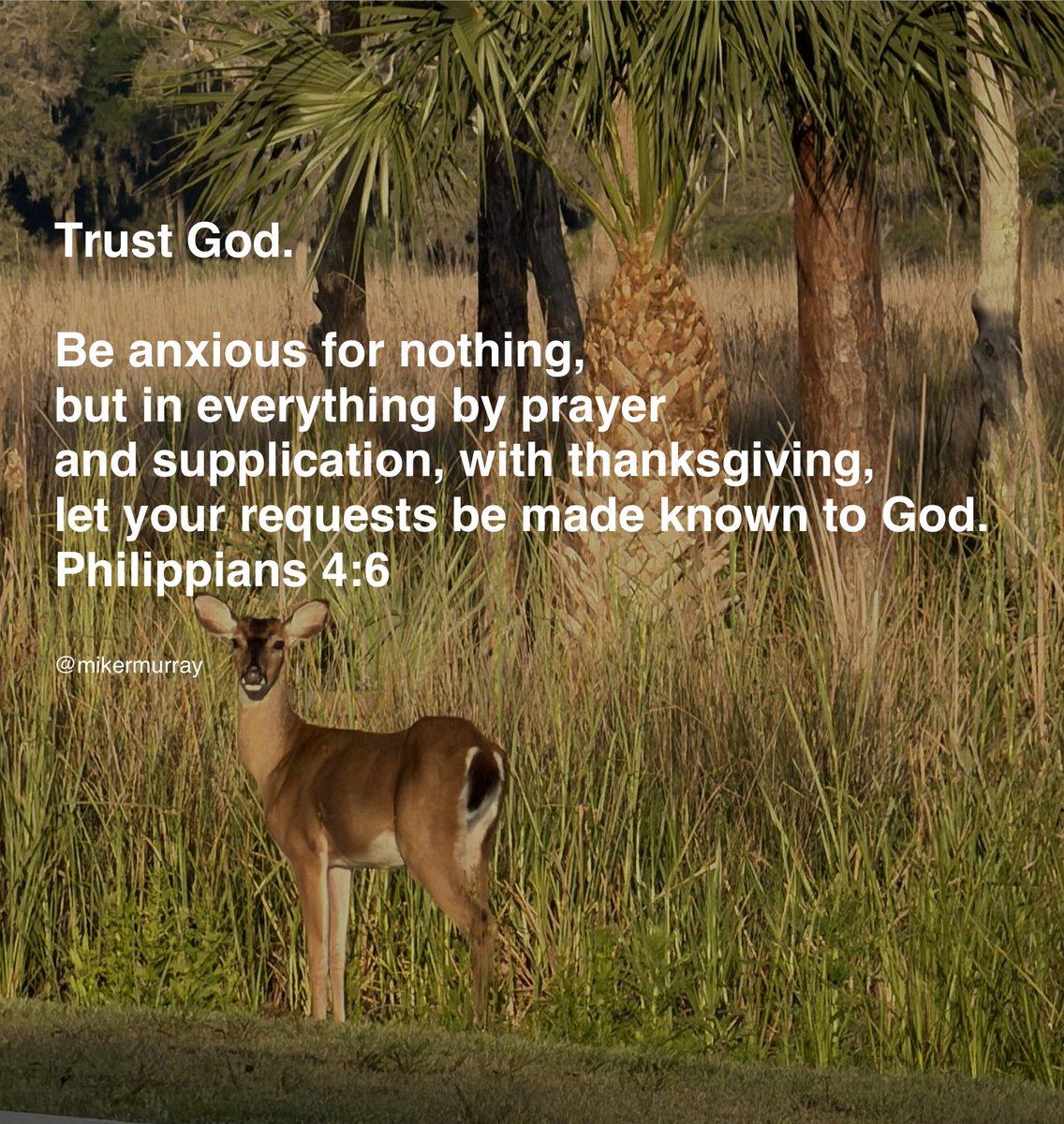 #trustGod