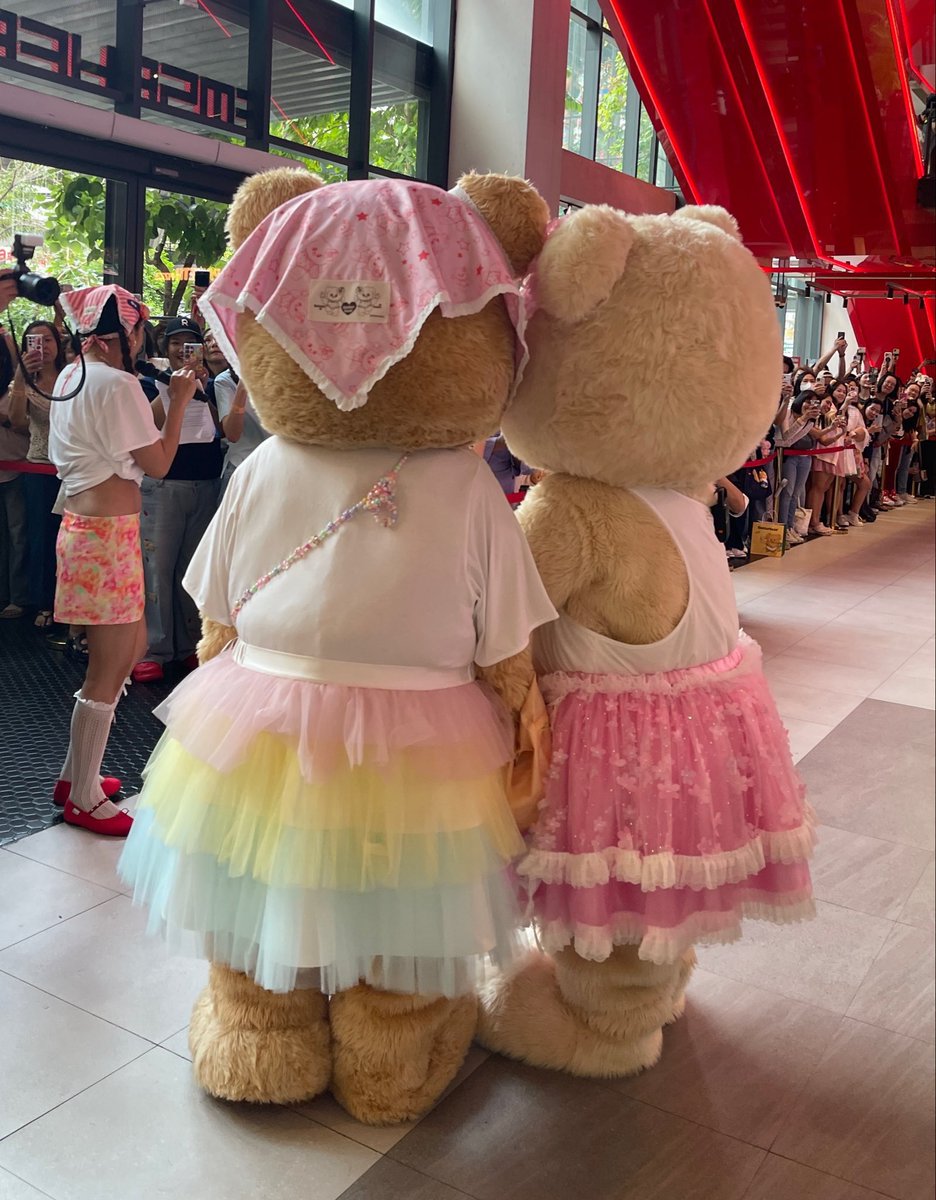 Brownie 🧸 tweet media