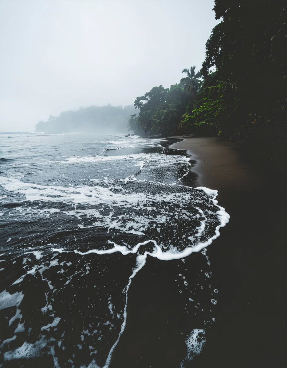 gillescolibri's tweet photo. Costa Rica 🇨🇷 https://t.co/I5EDvSotnt