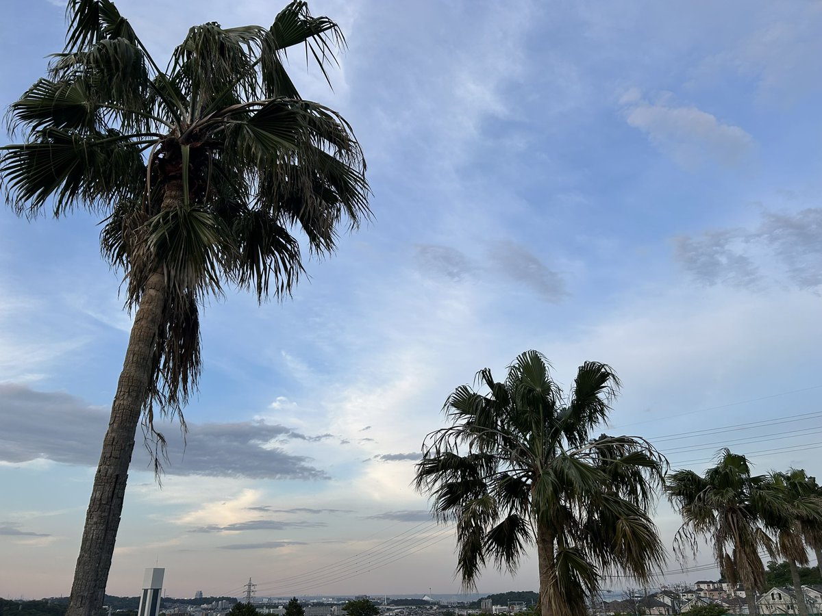 mits_i's tweet photo. This is the sky at dusk. There were some clouds today, but it was a relatively nice day. 😀 https://t.co/9evFINoJG9