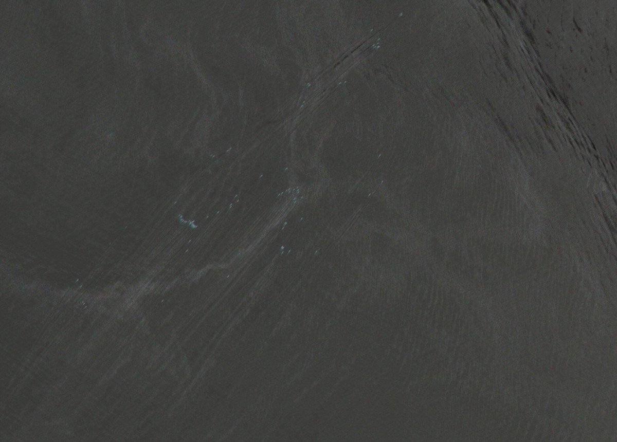 Whale Scan tweet media