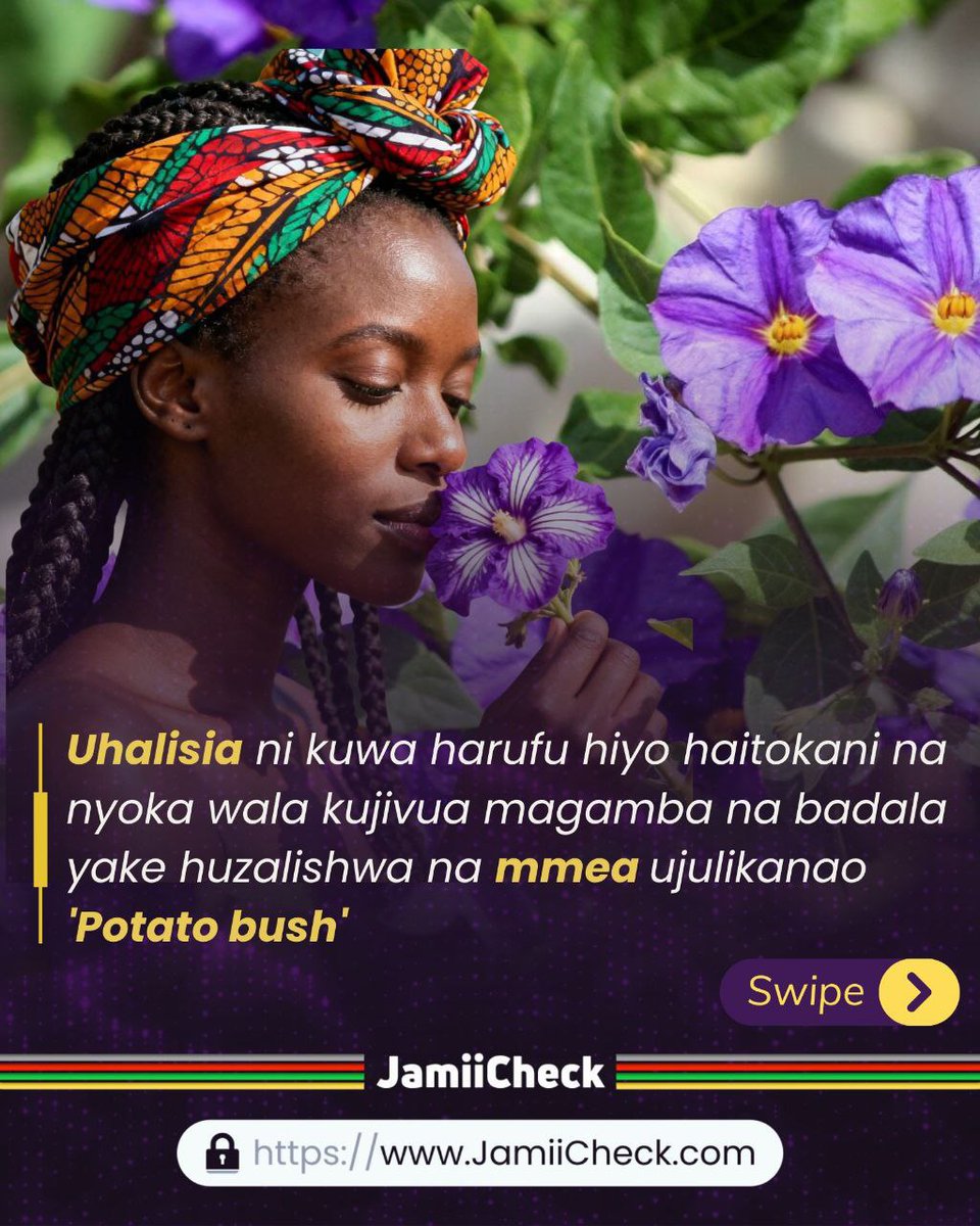 Tumaini Daniels tweet media