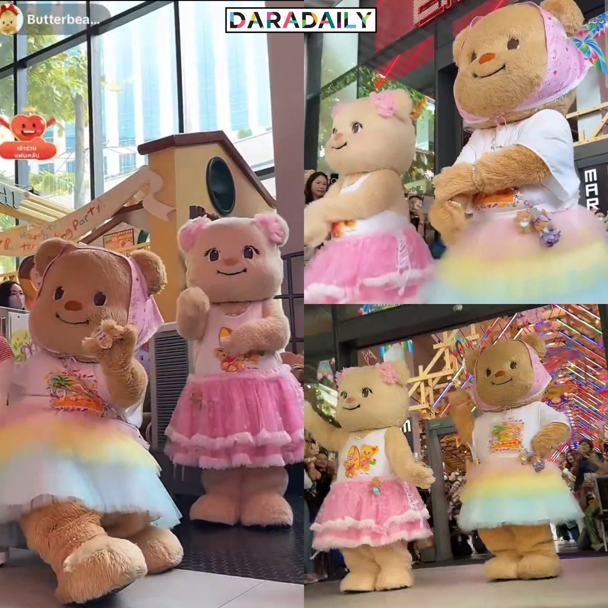 daradaily tweet media
