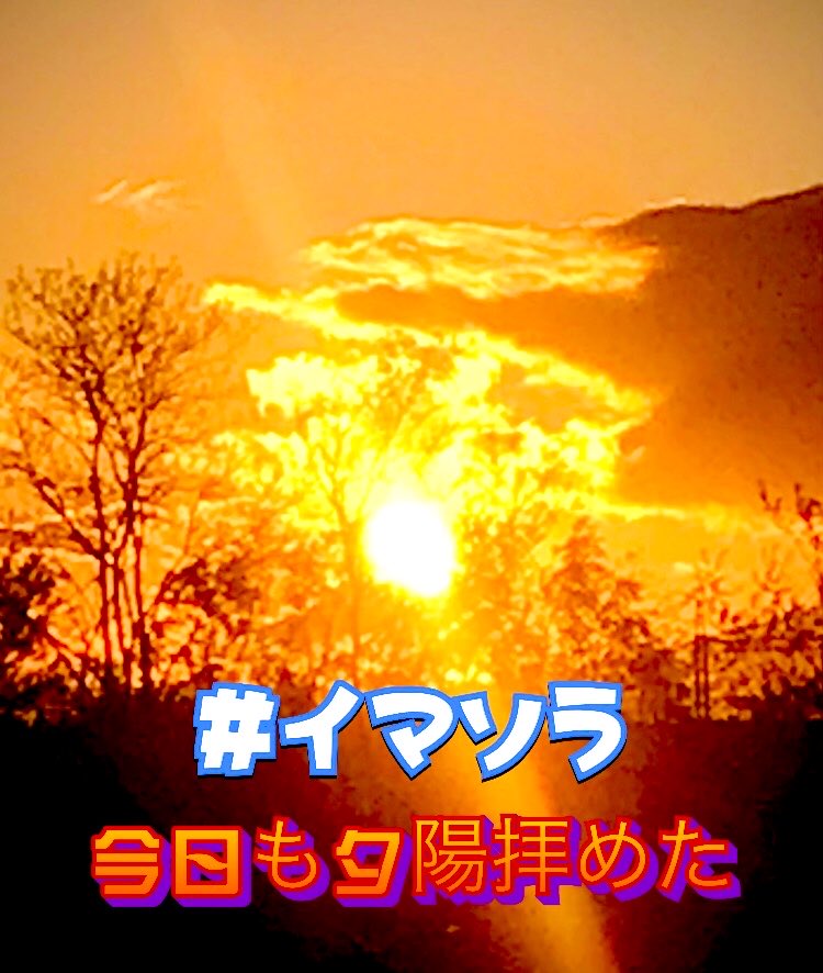 麻美 tweet media