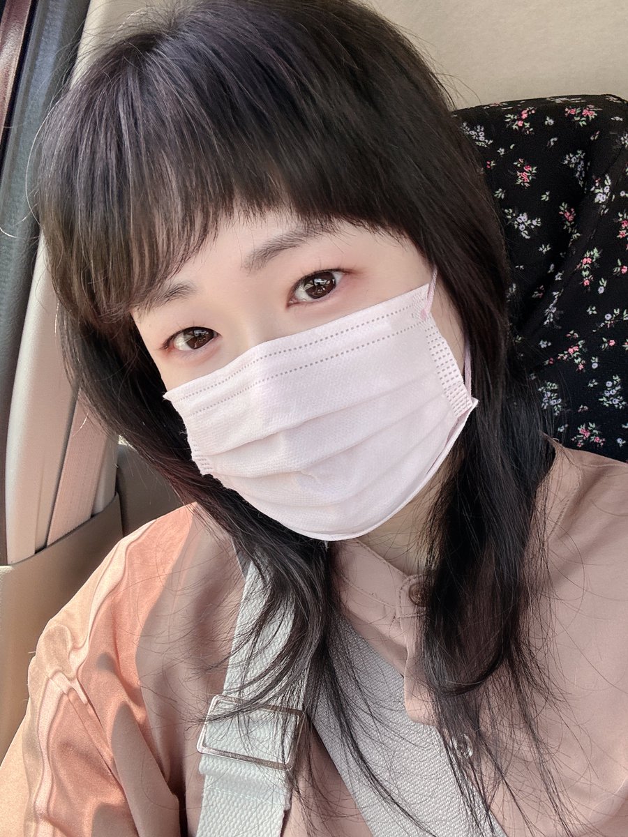 イカルちゃん。 tweet media