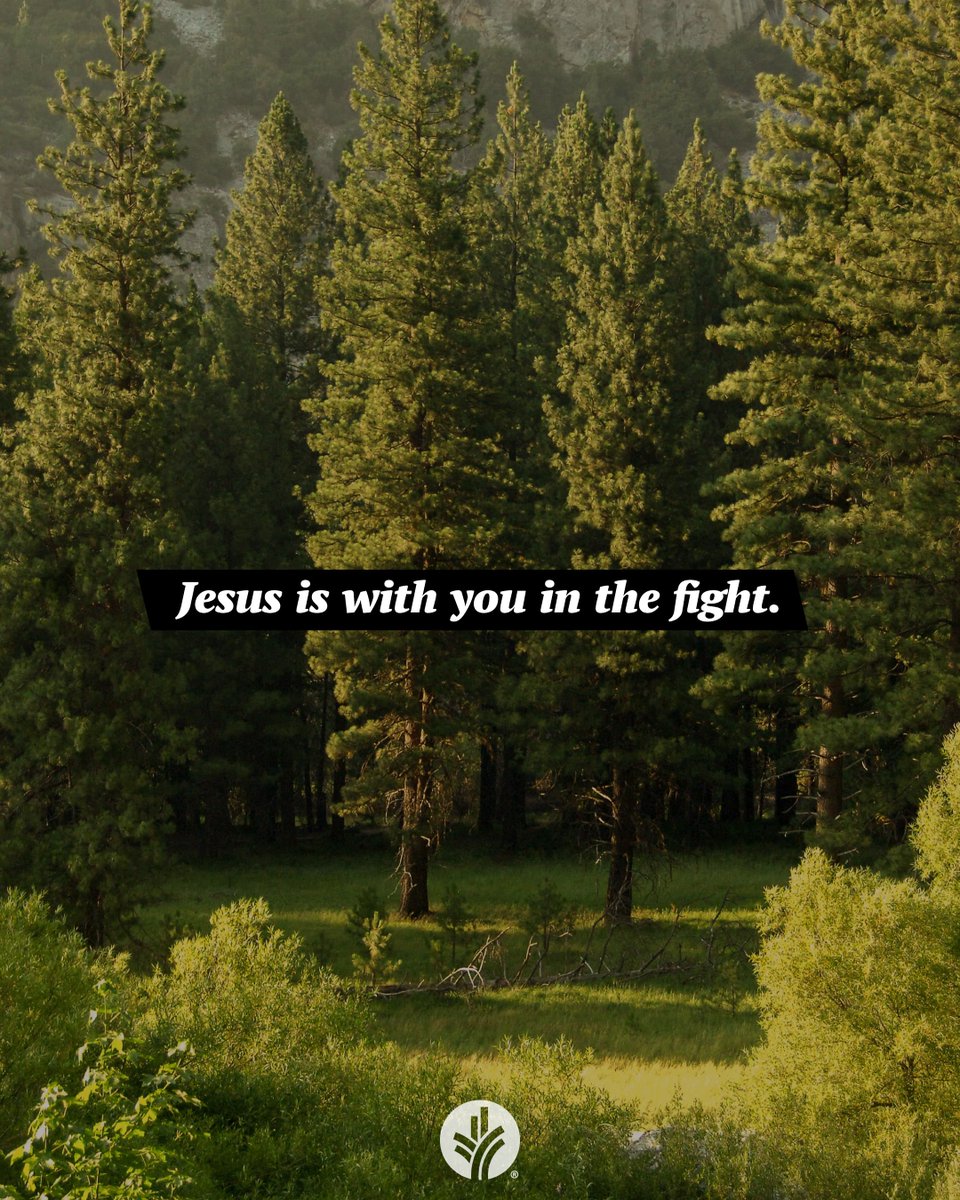 Our Daily Bread tweet media