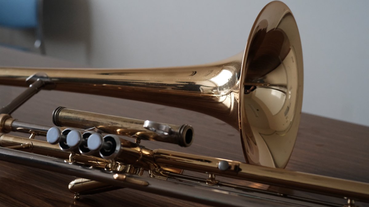 takshi_77 このリコーダー買いたいです… 私の楽器、左手一本で演奏