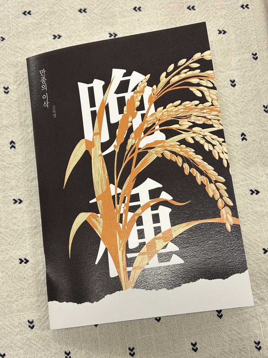 양냥 tweet media