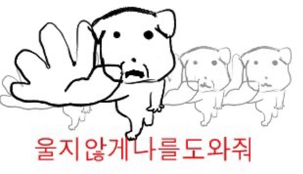 우리의 약속 큐랑해뿅을 양말에게 뺏긴지 어언 5일째.. 삶이 퍽퍽해졌고 눈물이 멈추질 않슺니다