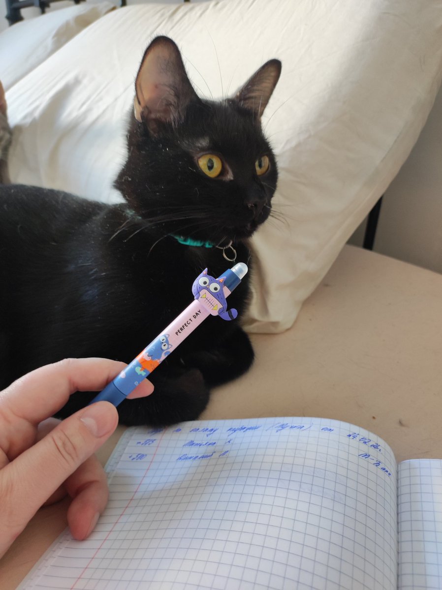 мы с котом Моне подготовили отчёт по сборам с первого мая. минус очень большой, пришлось потратить отложенные на аренду деньги, поэтому, если кто-то сможет помочь, будем очень благодарны 🙏
5536914169063991 тинёк
2202206393055004 сбер
2200153971889168 альфа
9219611572 тлф для сбп
