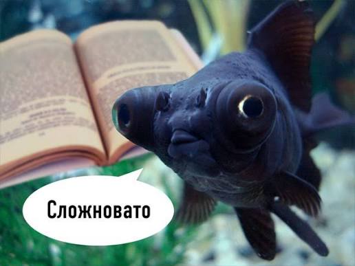 aunc damondas? tweet media