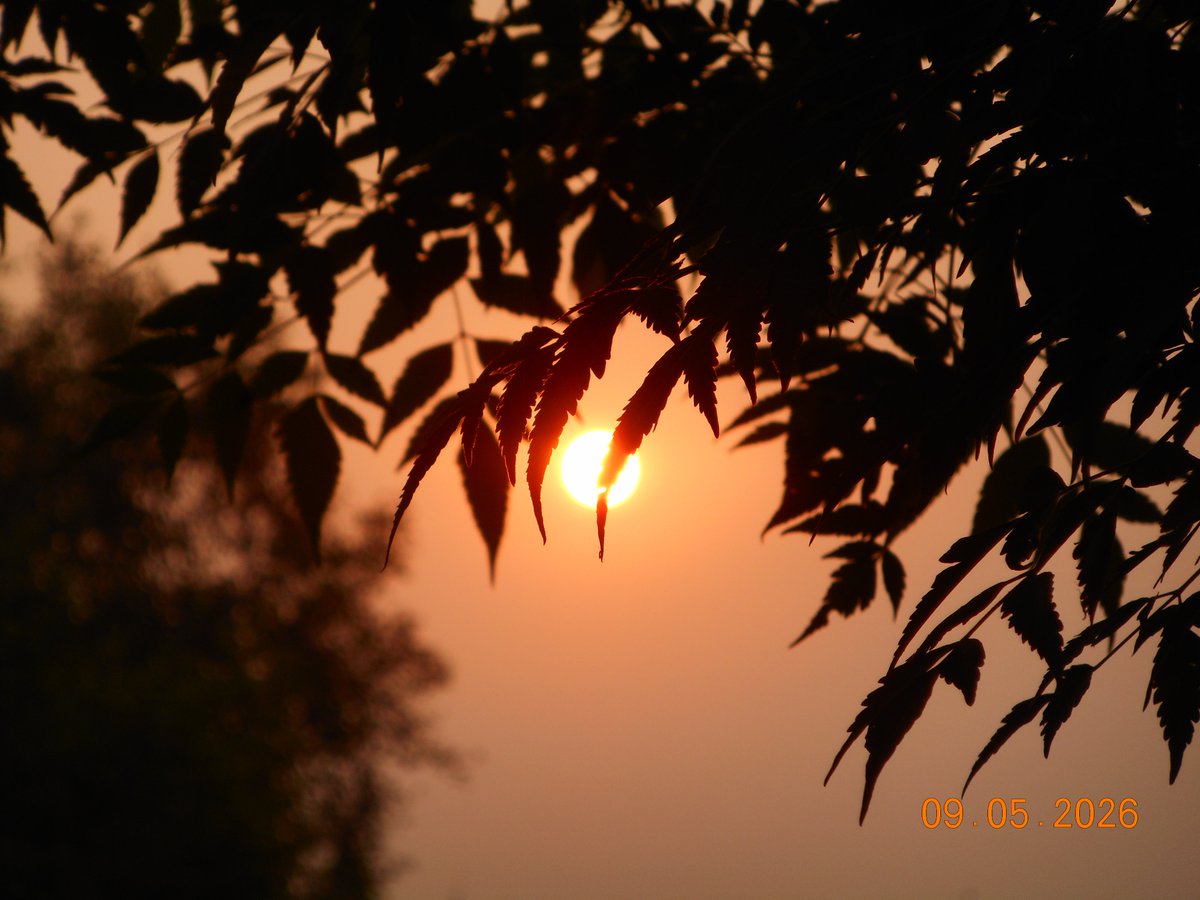 Ankita tweet media