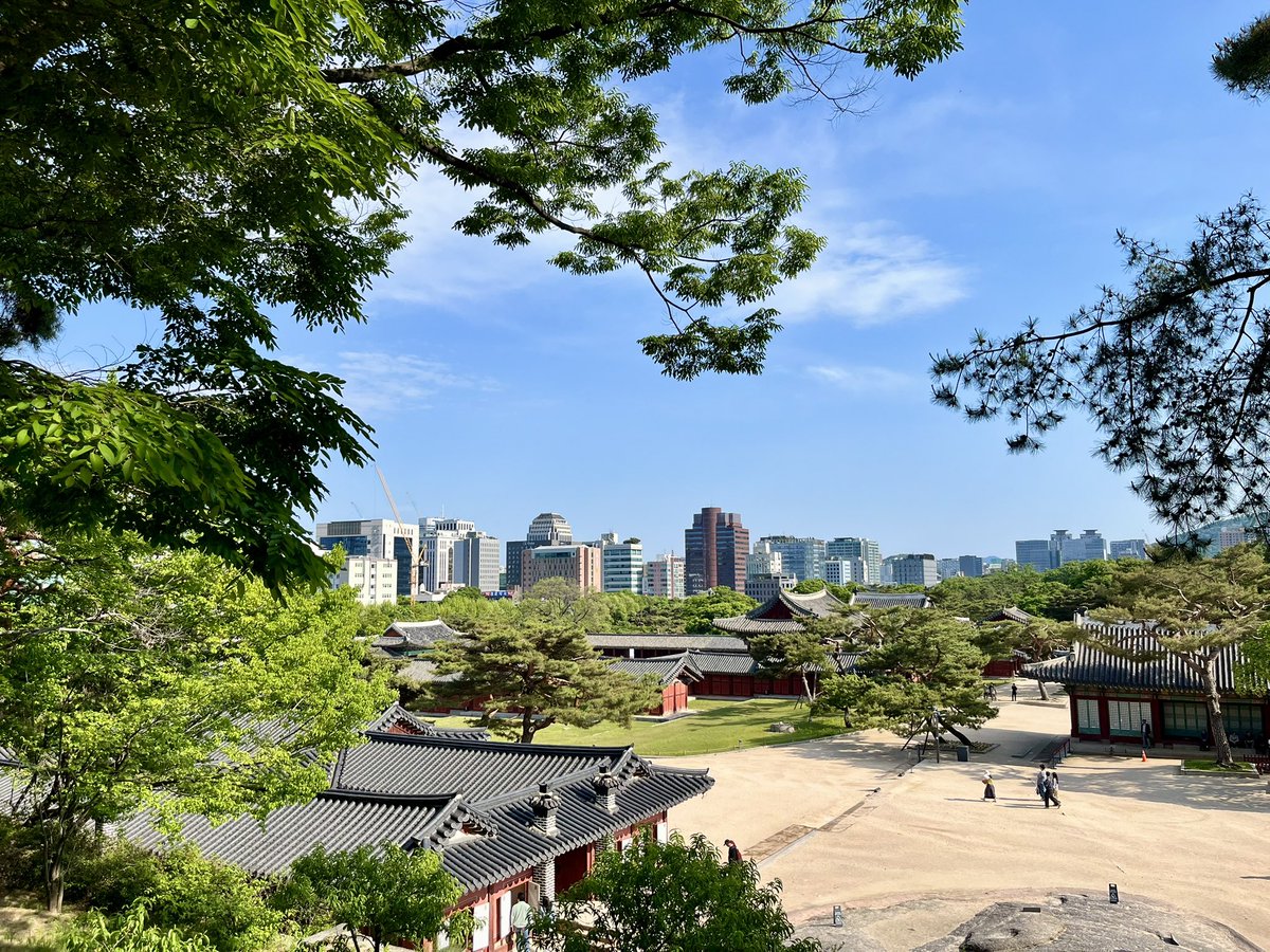 단단 tweet media