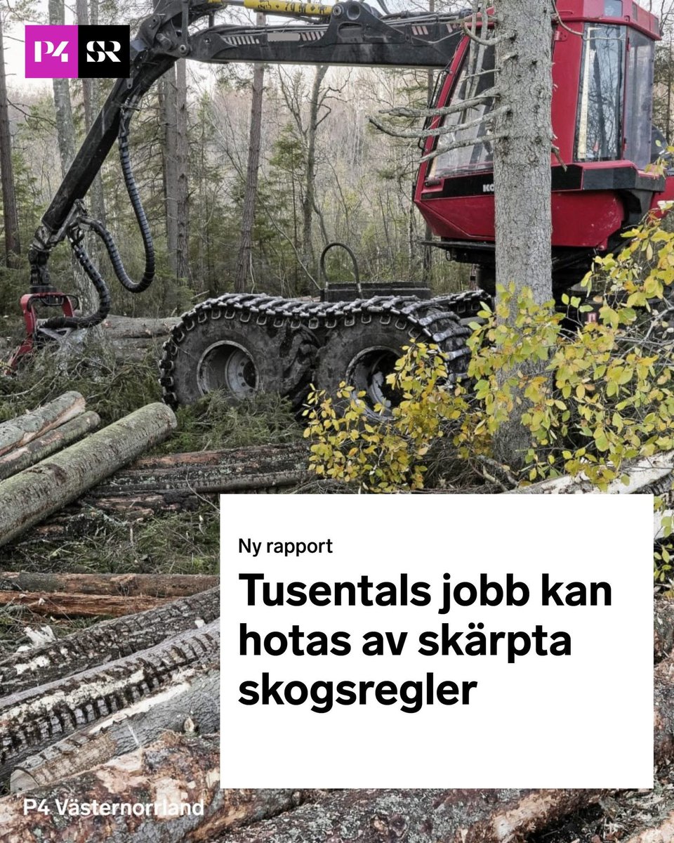 Det är sånt där som MP är positiva till.
-35 000 jobb och troligen dåligt för klimatet direkt i skogliga beräkningar. Inkluderar man produkter så blir det uppenbart att MP inte vill ställa om flyg, tung trafik eller sluta använda onödiga plastprodukter med mera.
Där sitter