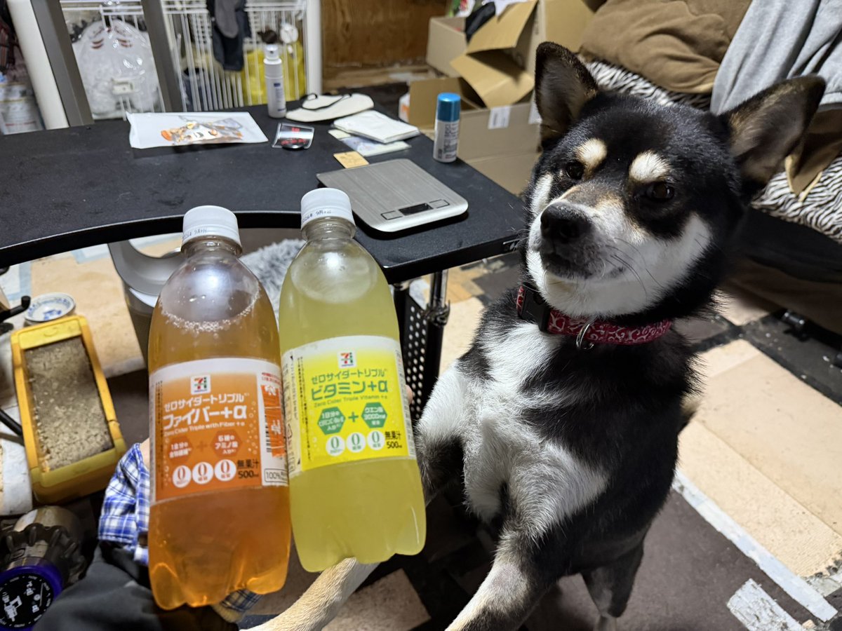 新井さん tweet media
