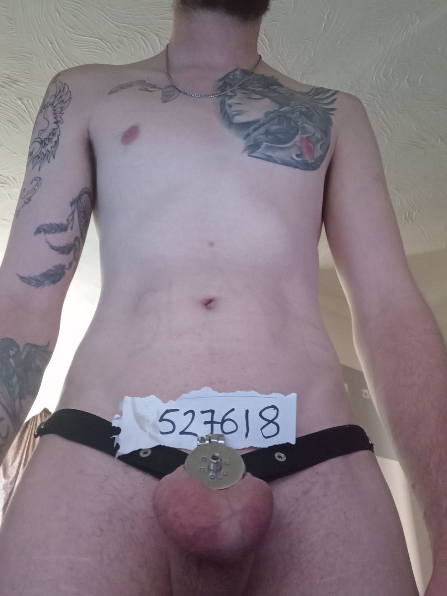 SubHumanPlg's tweet photo. Day 3/??? 
Want to add more time to slaves locked up session --> https://t.co/7zXv2s85EB... Lets make me a Perma locked slave. #HumanSlave #gayslave #gaysub #gaypig #pigslave #teamlocked #onlyhole #permalocked #chastity https://t.co/qcP1eE1pd5