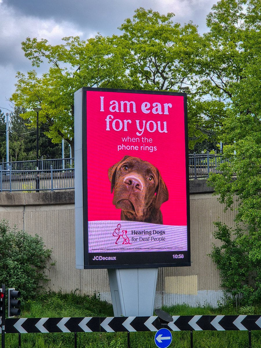 321SaZ123's tweet photo. #EarForYou 🐶 @HearingDogs https://t.co/xBT3eU4kNC