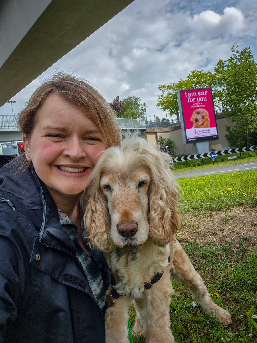 321SaZ123's tweet photo. #EarForYou @HearingDogs https://t.co/AOX7xjw4Eo
