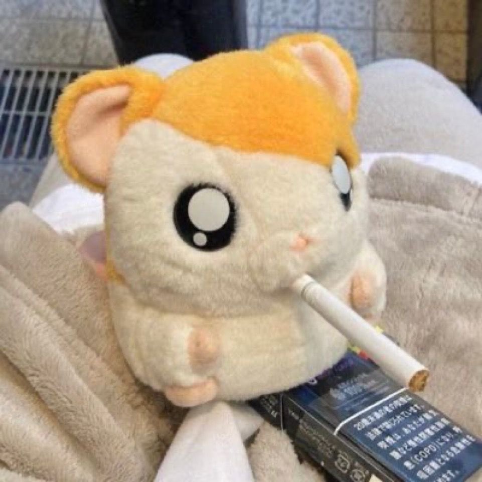 낑깡 tweet media
